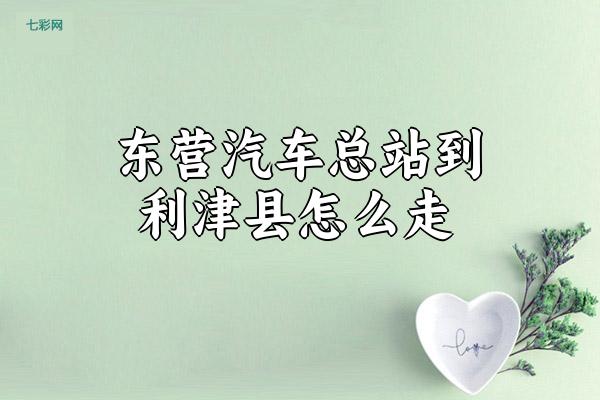 东营汽车总站到利津县怎么走