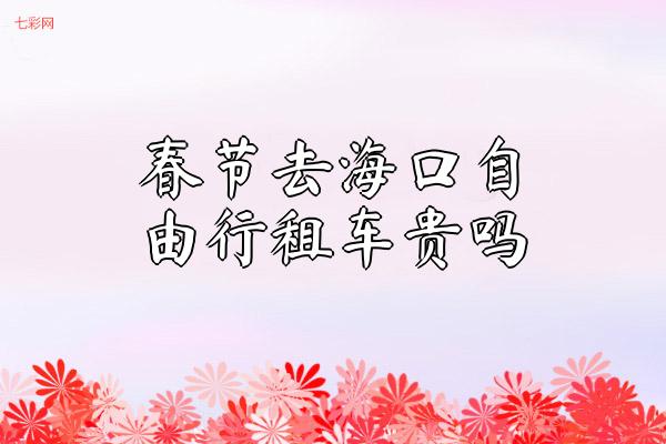 春节去海口自由行租车贵吗
