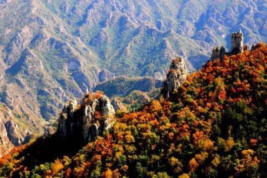山西景点60岁老人免票吗