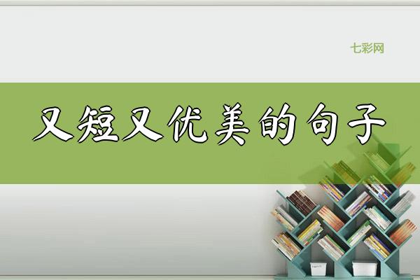又短又优美的句子