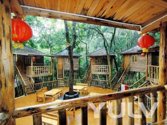 从清远英德市怎么去天门沟树屋村