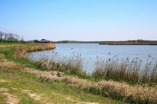 崇明岛一天旅游攻略