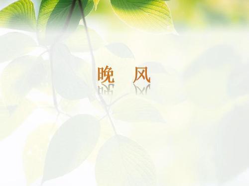 关于夏季晚风优美句子大全 夏季的晚风文案
