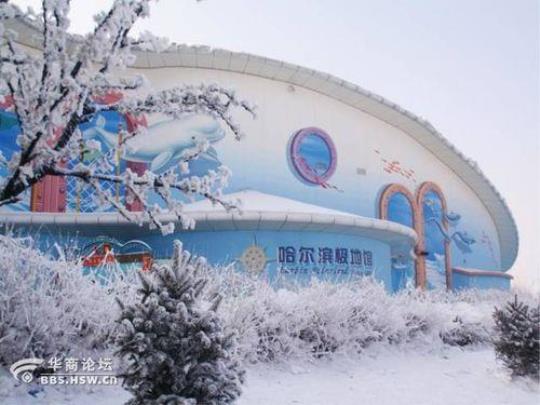 十一我同学要来哈尔滨玩3天有什么地方好玩的?具体一点，票价了，路线了。？