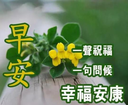 关于唯美早安问候简短句子大全 温馨唯美的早安心语