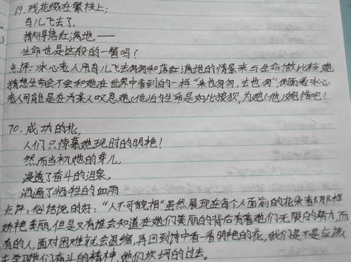 关于一些优美的句子并赏析大全 关于一些优美的句子摘抄
