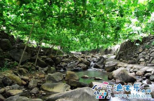 探秘葡萄沟（葡萄沟导游必备攻略）