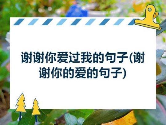 关于吸谢谢优美的句子大全 谢谢的优美句子