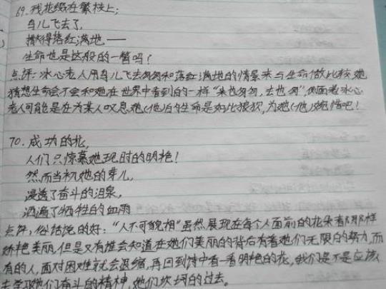 关于优美的句子摘抄71字大全 关于优美句子的网名