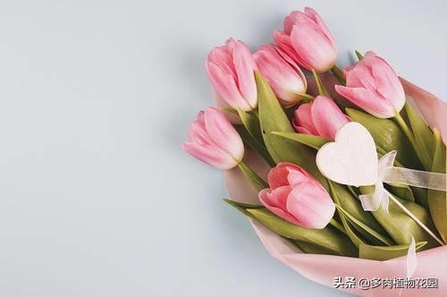 关于教室的花优美句子大全 关于教室优美的句子