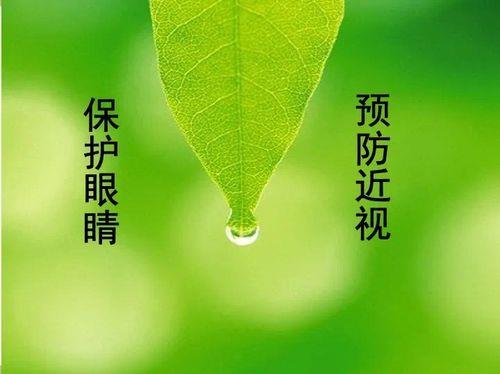 关于描写绿色眼睛的优美句子大全 关于描写绿色的词语