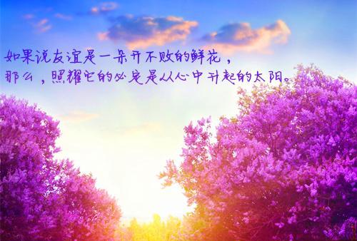 关于写清晨的唯美的句子大全 关于清晨唯美的句子与图片带字