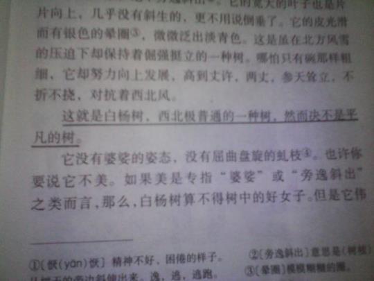 关于描写学校含有修词手法的优美句子大全 关于描写学校的作文