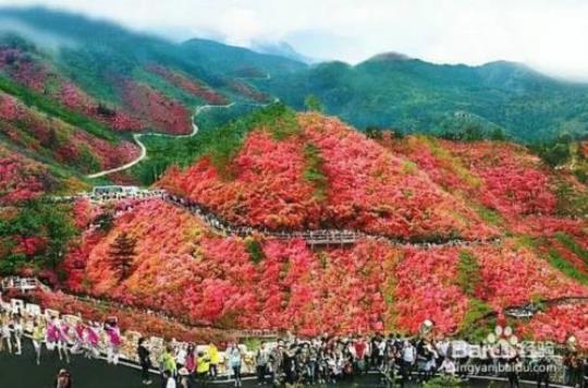 云雾山自驾游攻略如何安全又愉快地游览？