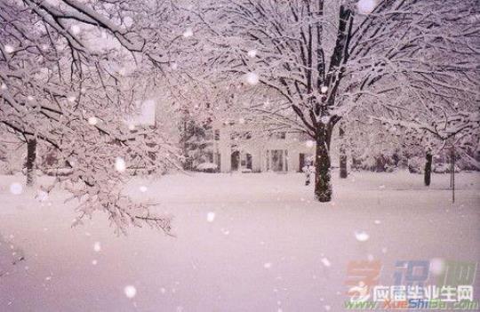 关于落雪唯美的句子大全 古风落雪图片唯美