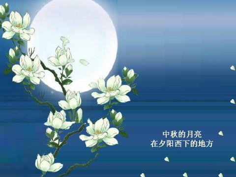 关于月夜优美的句子是大全 关于月夜的优美段落