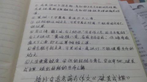 关于一段优美句子100字大全 关于一段优美的句子都有什么