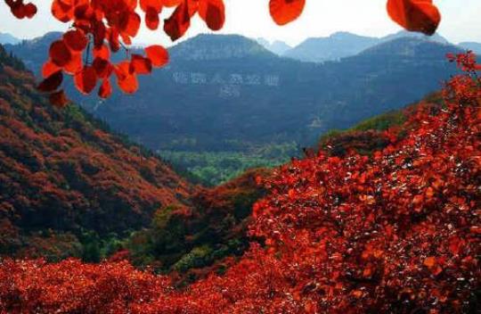山东省临朐县（介绍山东省临朐县的地理位置和文化底蕴）