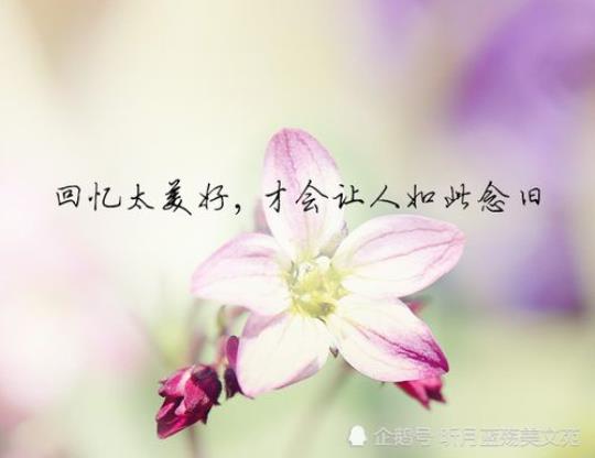 关于从此不见的唯美句子大全 从此再也不见的图片