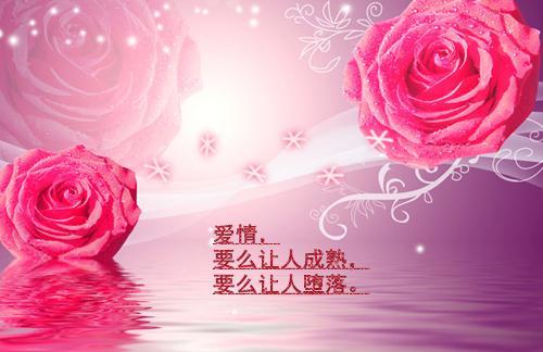 关于优美的话语爱情句子大全 关于早餐的优美话语