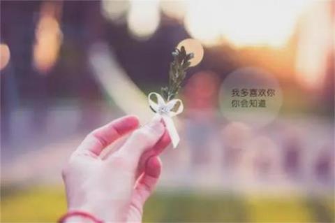 关于唯美催宝宝发动的句子大全 唯美女宝宝名字