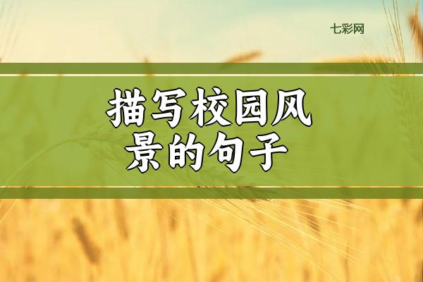 描写校园风景的句子