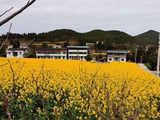 绵阳安家镇开发旅游区（打造绵阳旅游新景点）