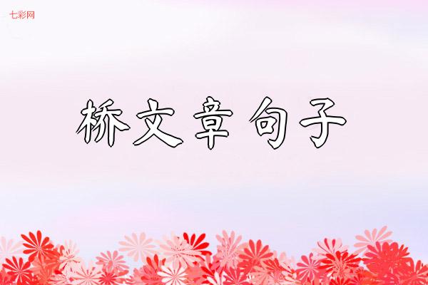 关于桥文章句子