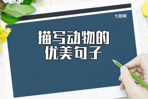 描写动物的优美句子