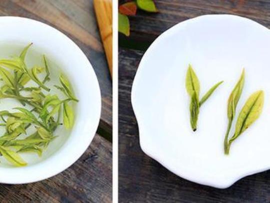 安吉白茶与天目湖白茶哪个更好？