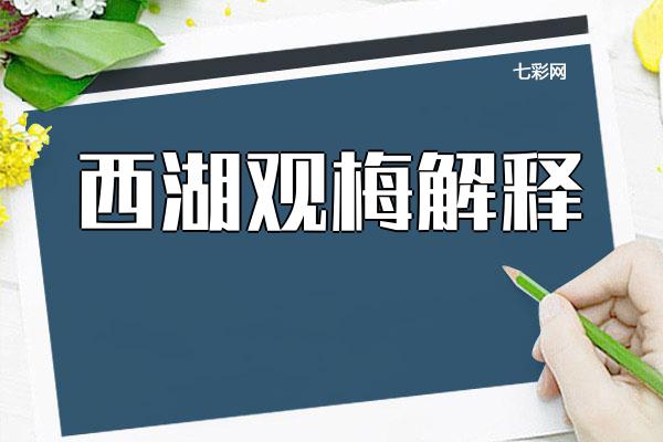 西湖观梅解释？