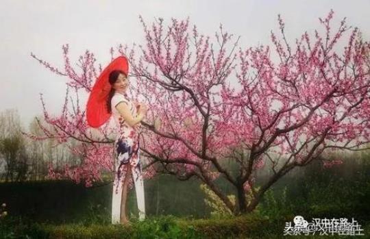 关于人在桃花林唯美句子大全 关于桃花唯美文案