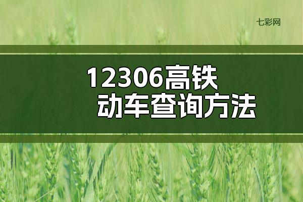 12306高铁动车查询方法