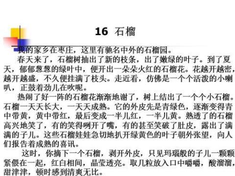 关于课文石榴的优美句子大全 小学课文石榴原文