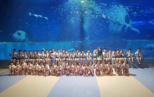探索极地海洋的奇妙之旅――临沂极地海洋世界