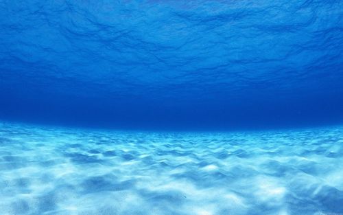 关于描写洗海澡的优美句子大全