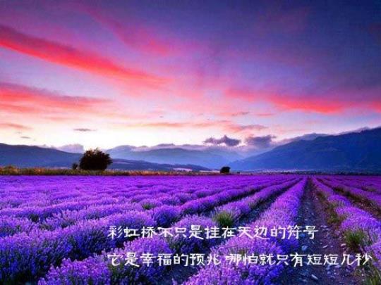 关于唯美优美的景色句子大全 唯美的画面