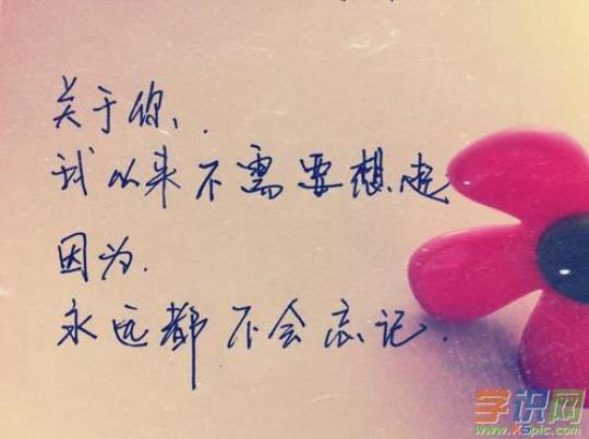 关于qq空间留言的好句子唯美句子大全 关于qq空间的说说情感