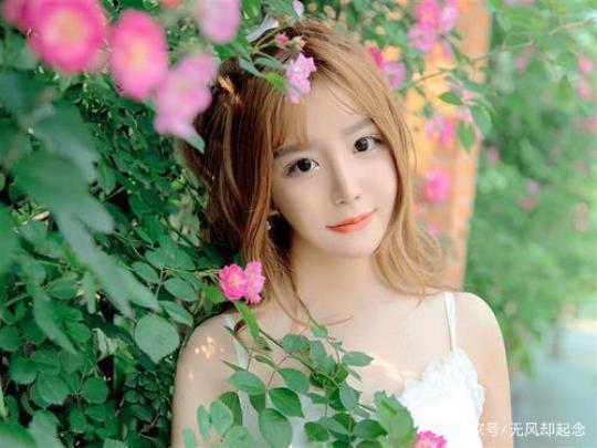 关于朋友妻不可欺的唯美句子大全 关于朋友妻可欺的小说