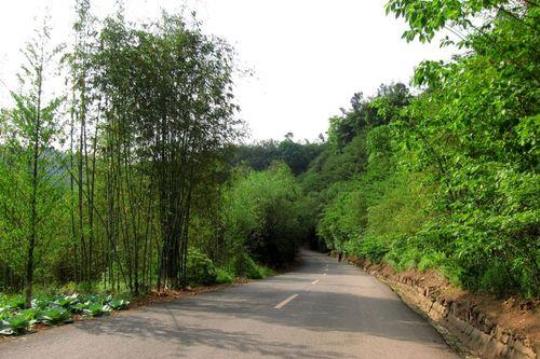 大旺山是什么地方？