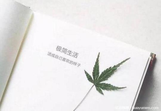 关于形容平淡生活的唯美句子大全 形容平淡的成语