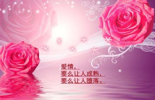 关于赞美爱情的唯美句子6大全 关于赞美爱情的诗句