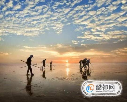 关于描写渔民的优美句子大全 关于描写渔民生活的诗句