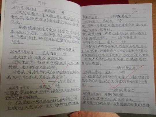关于佳句摘抄15字左右大全 关于佳句摘抄