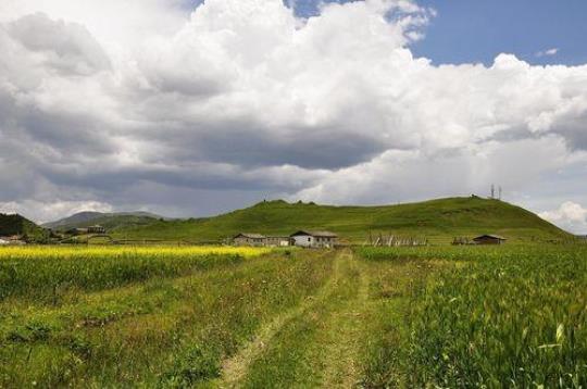 大路边的美丽风景（探寻大路边的自然之美）