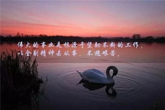关于鸡汤句子人生大全 英文鸡汤励志短句子