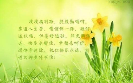 关于描写复明高兴心情的句子大全