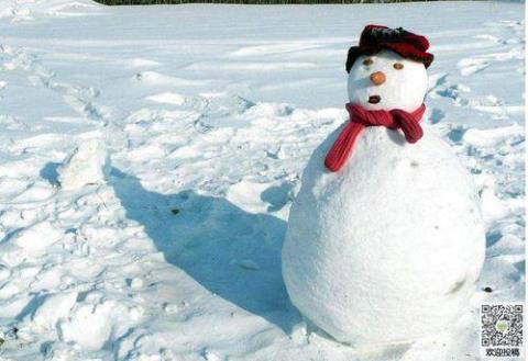 关于雪人似人生的句子大全