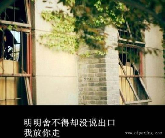 关于婚姻忧伤句子说说心情短语大全 婚姻忧伤的句子