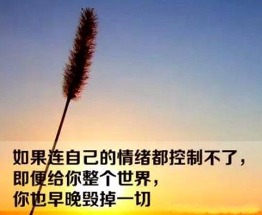 关于经典句子人生感悟知乎大全 关于经典句子感情